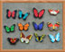 Butterfly Magnets